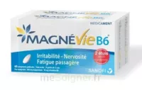Magnevie B6 100 Mg/10 Mg Comprimés Pelliculés 2plq/60 (120) à Saint-Maximim