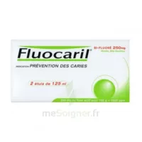 Fluocaril Bi-fluoré 250 Mg Pâte Dentifrice Menthe 2t/125ml à Saint-Maximim